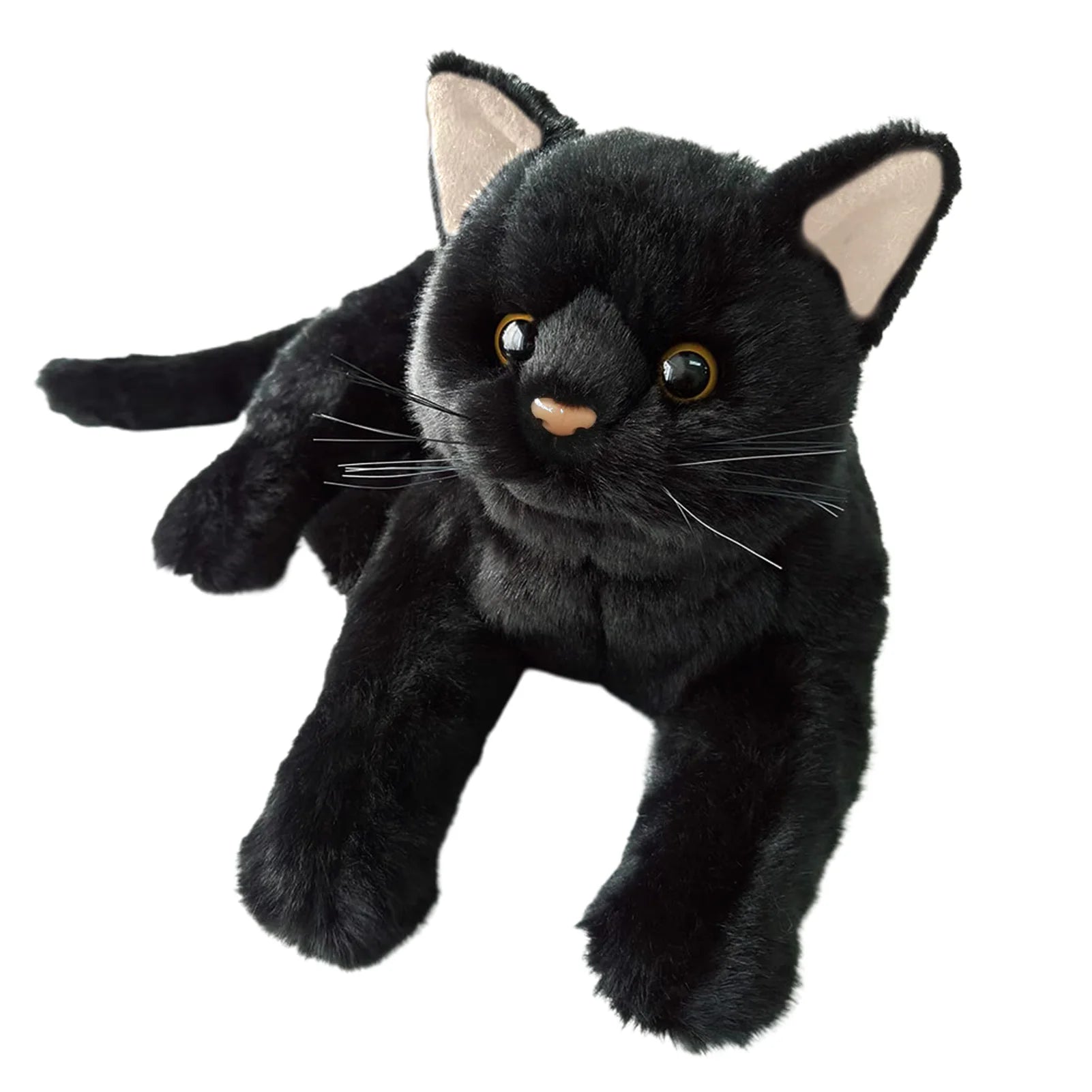 Black cat teddy