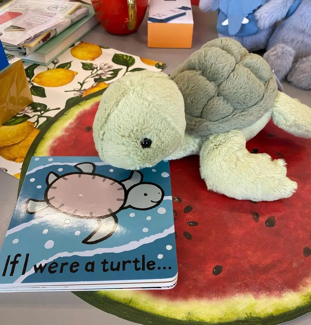 Tortoise teddy