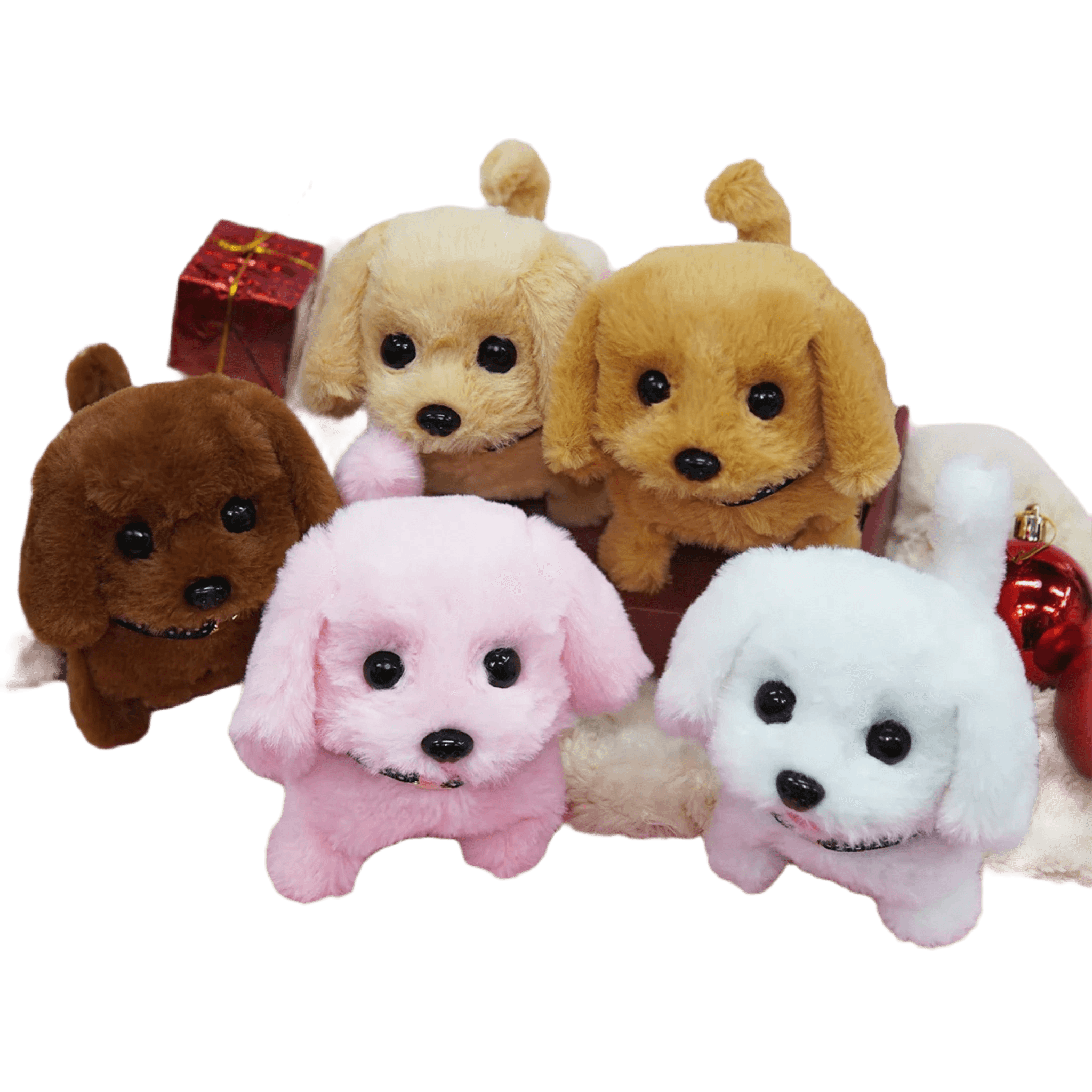 Teddy bear dog price