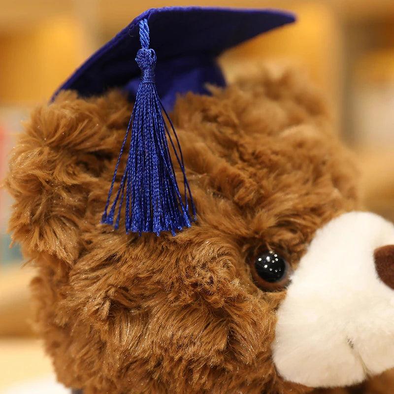 Graduation teddy