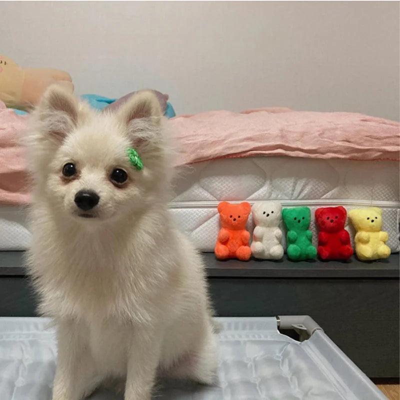 Small teddy bear dog