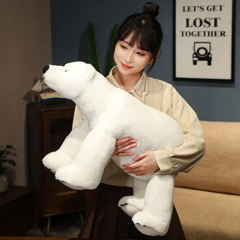 Largest teddy bear