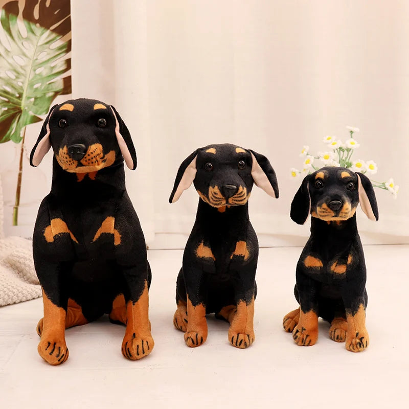 Rottweiler teddy