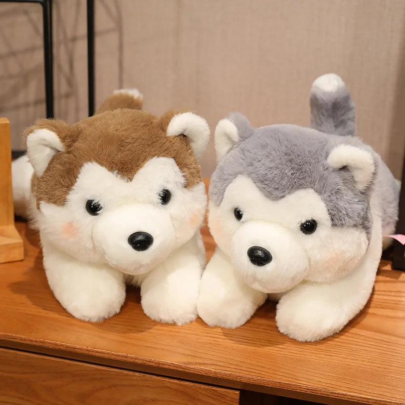 Husky teddy bears