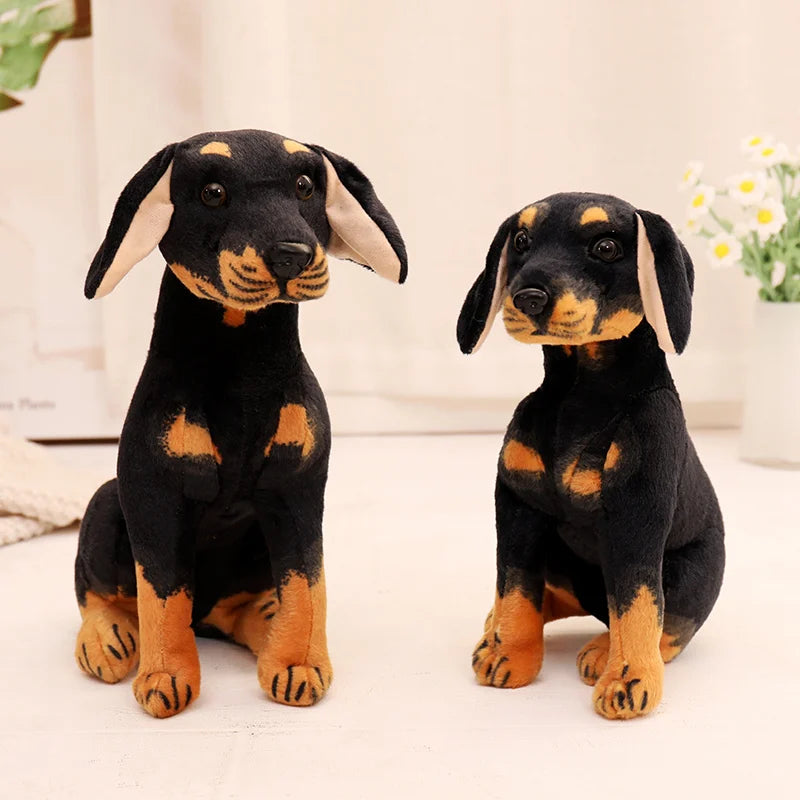 Rottweiler teddy