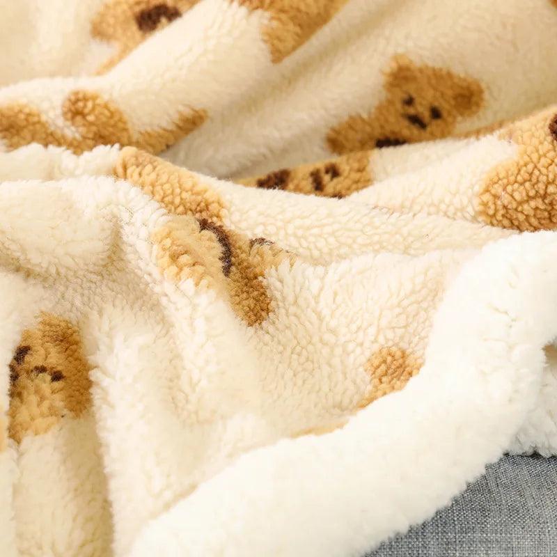 Teddy bear blanket