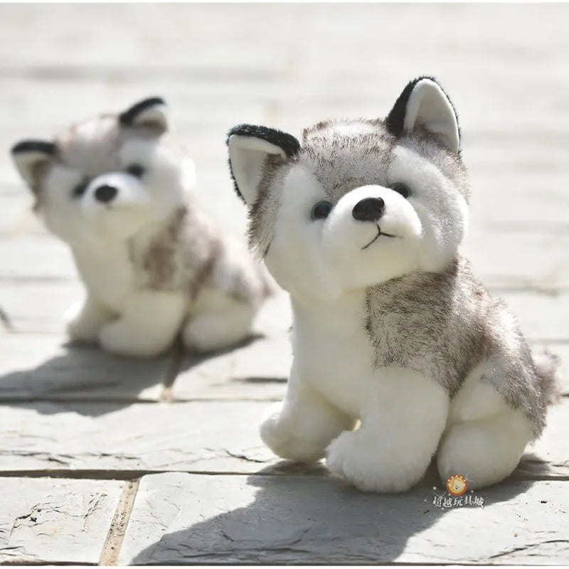 Husky plush