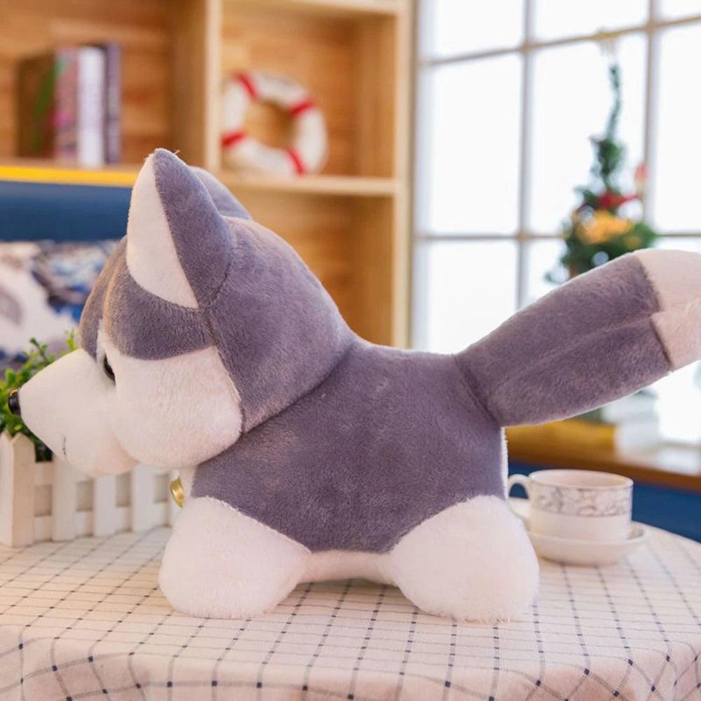 Husky dog teddy