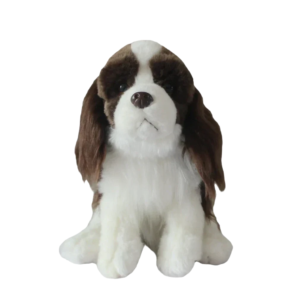 Cavalier king charles teddy