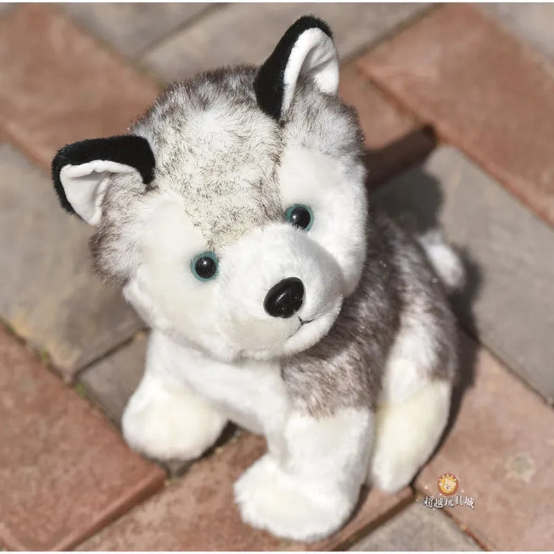 Husky plush