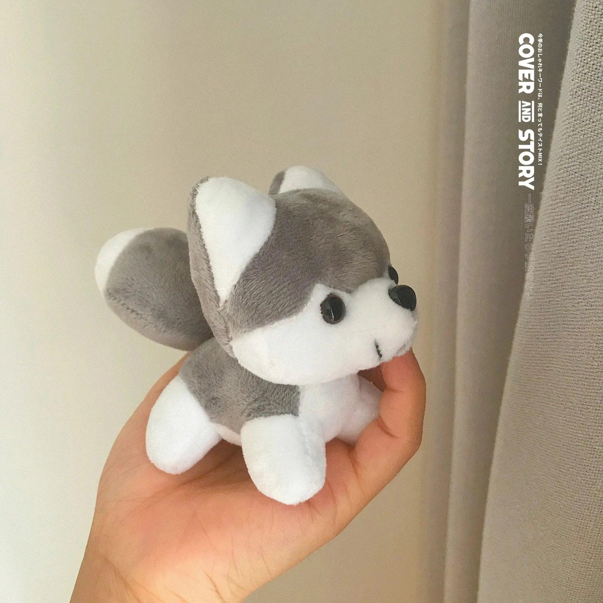 Dog teddys