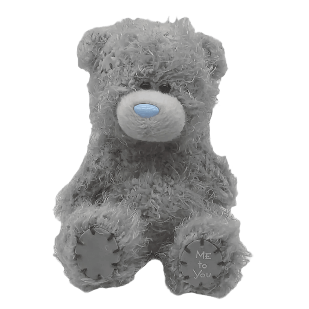 Tatty teddy me to you bears