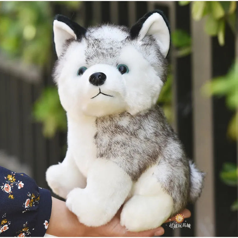 Husky plush