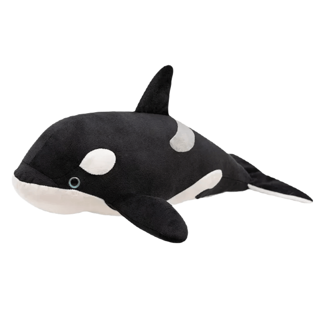 Orca teddy