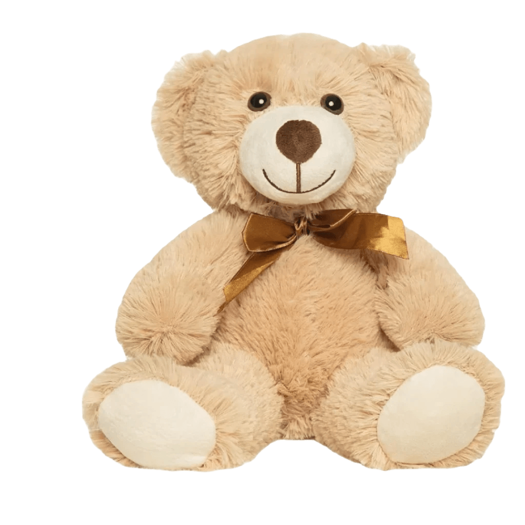 Teddy bear get well soon