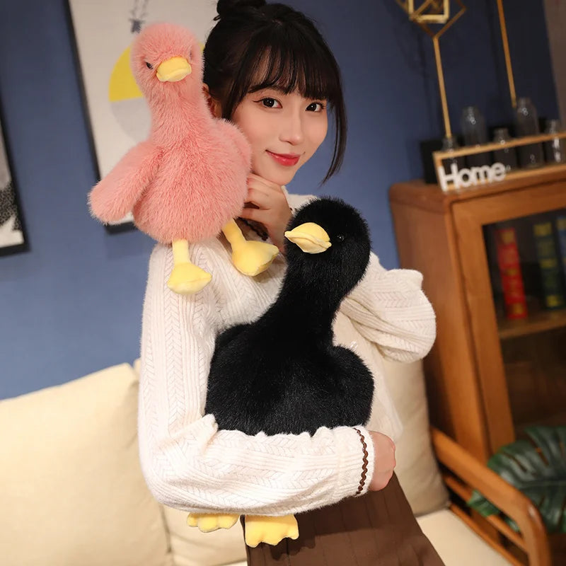 Duck plush toy