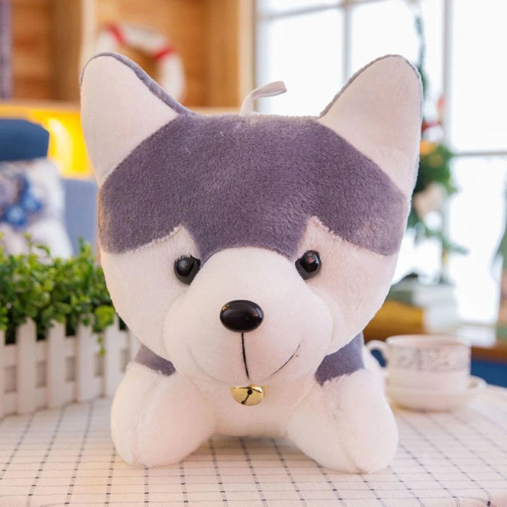 Husky dog teddy