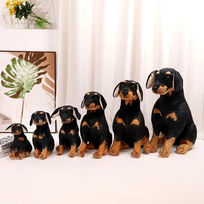 Rottweiler teddy