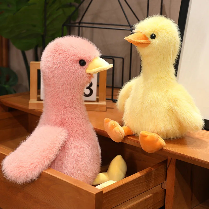 Duck plush toy