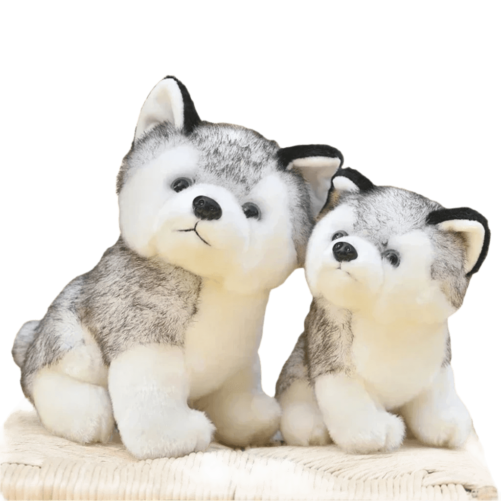 Giant husky teddy