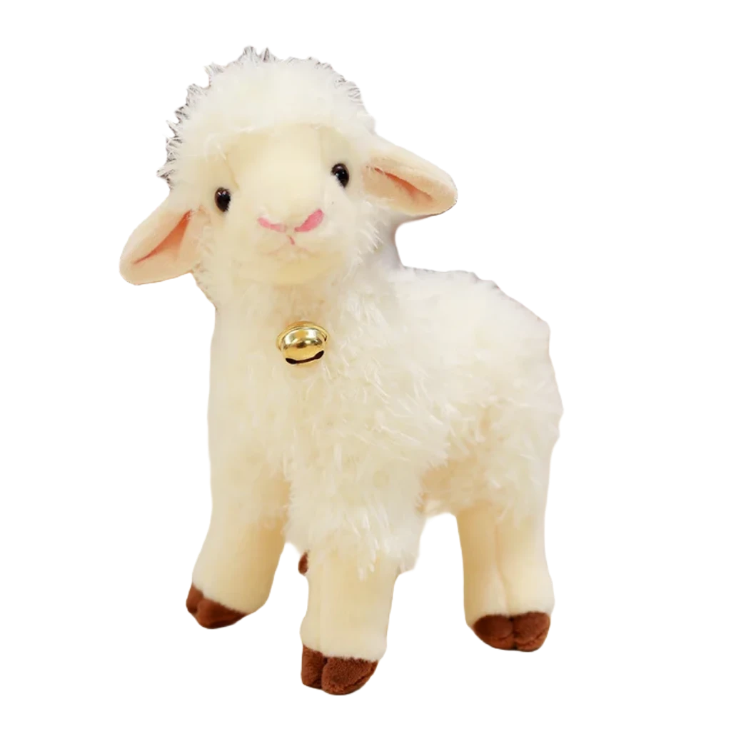 Lamb teddy