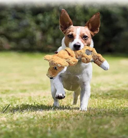 Kong dog plush toys