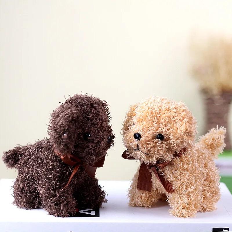 Teddy bear dogs