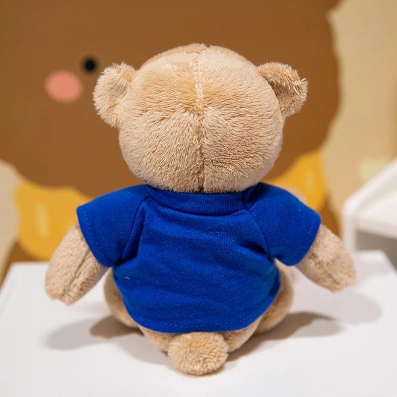 Teddy bear with t shirt