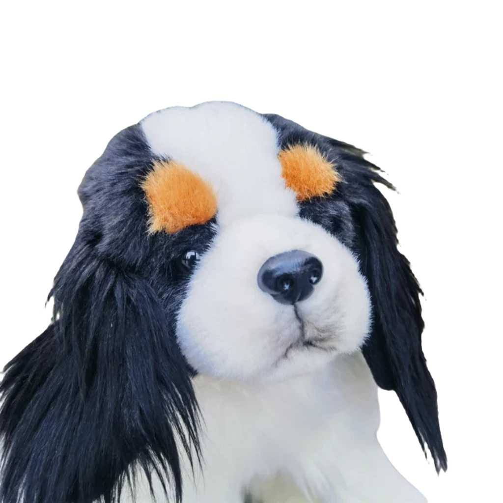 Cavalier king charles teddy