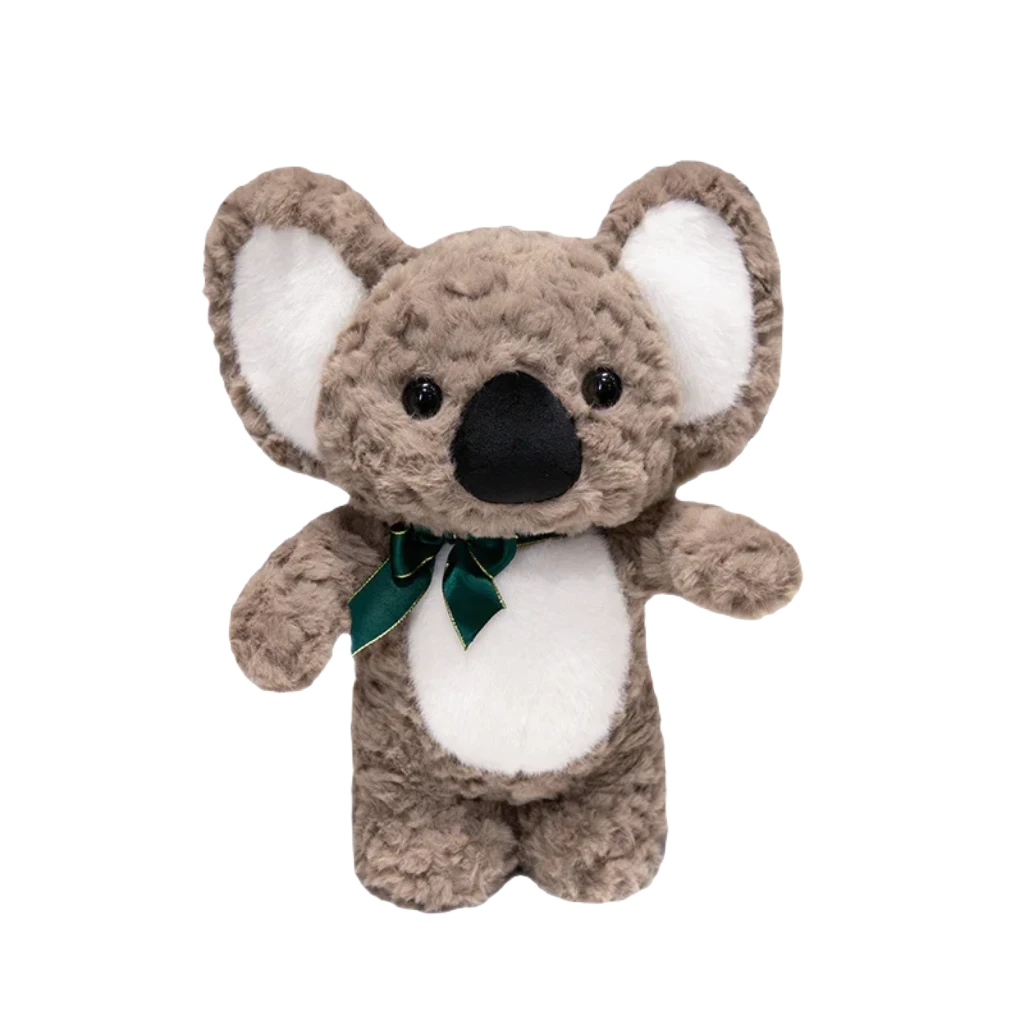 Teddy koala