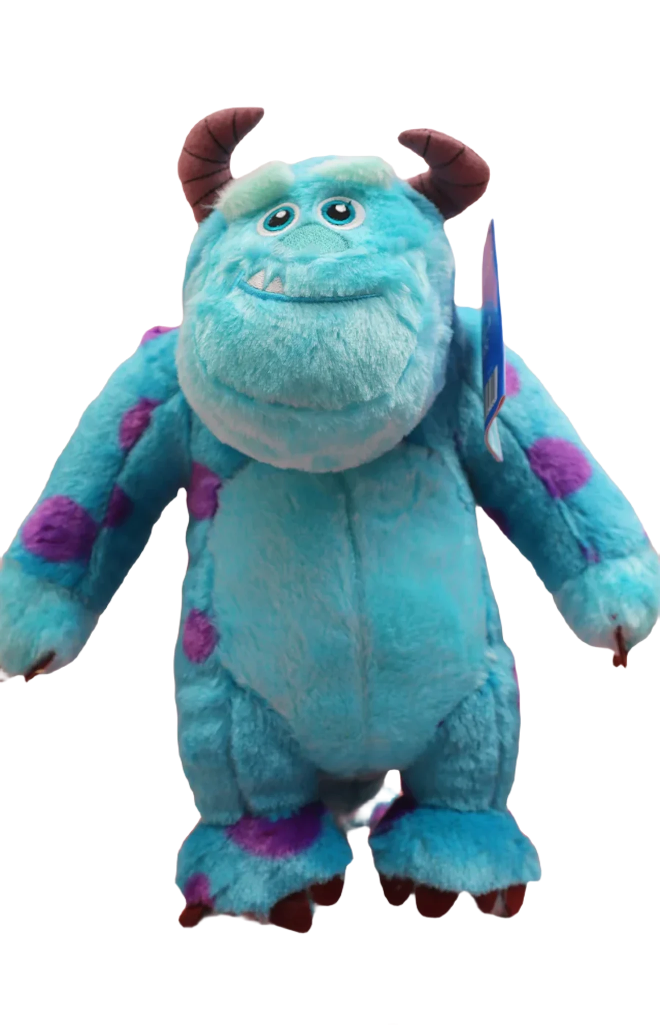 Sully teddy