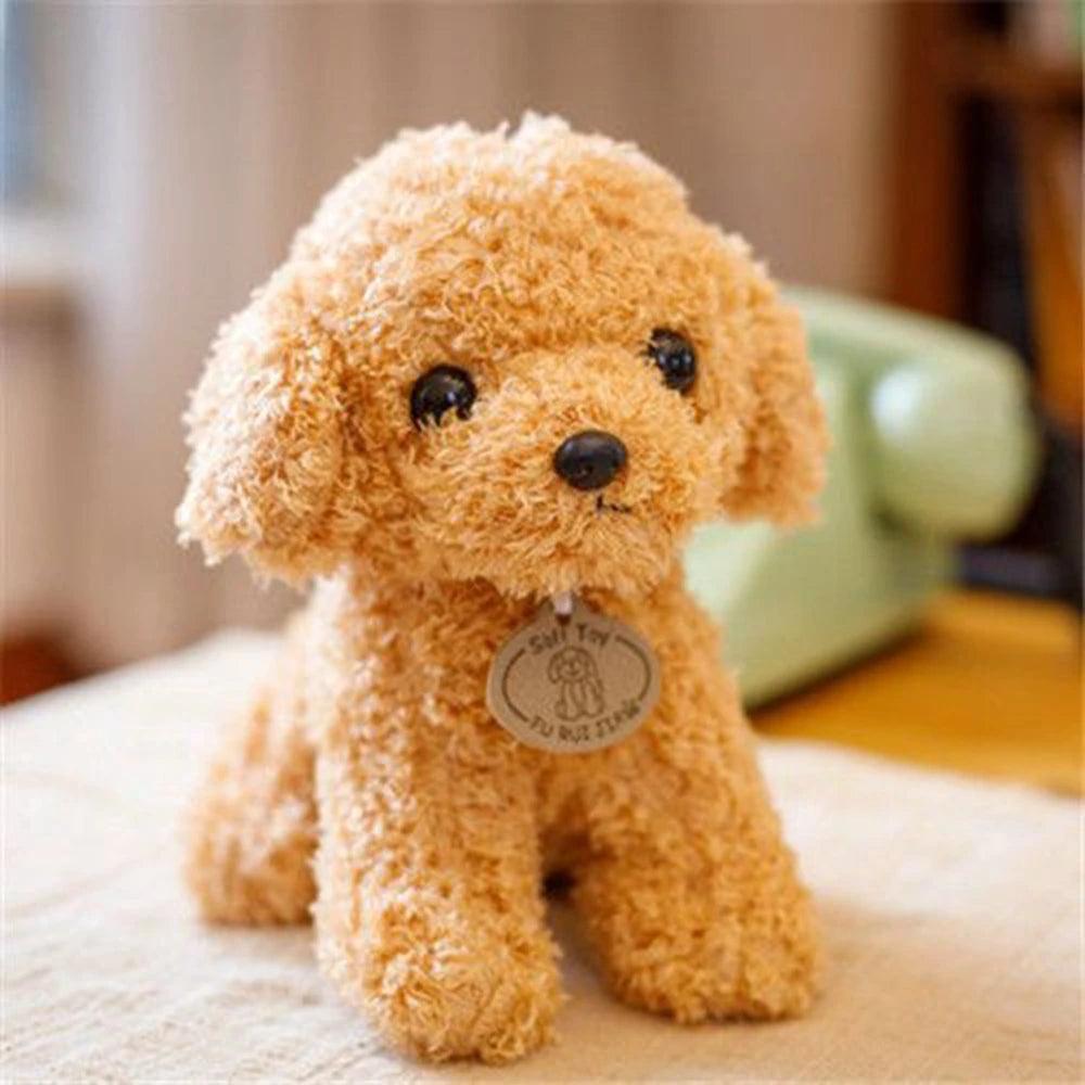 Teddy bear cut on cockapoo