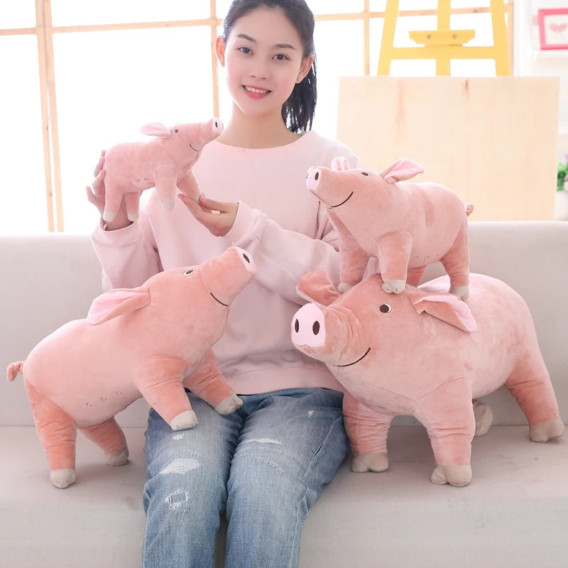 Giant piglet teddy