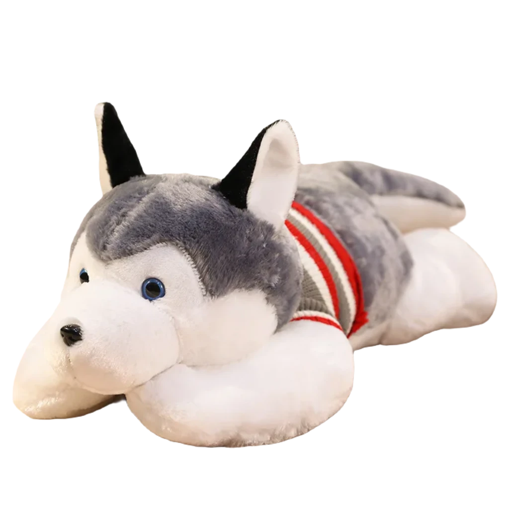 Husky teddy