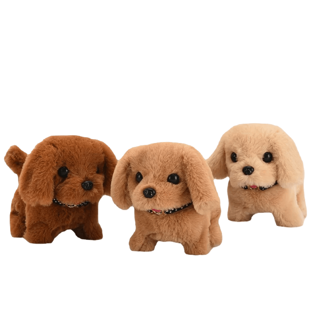 Shih tzu teddy bear cut