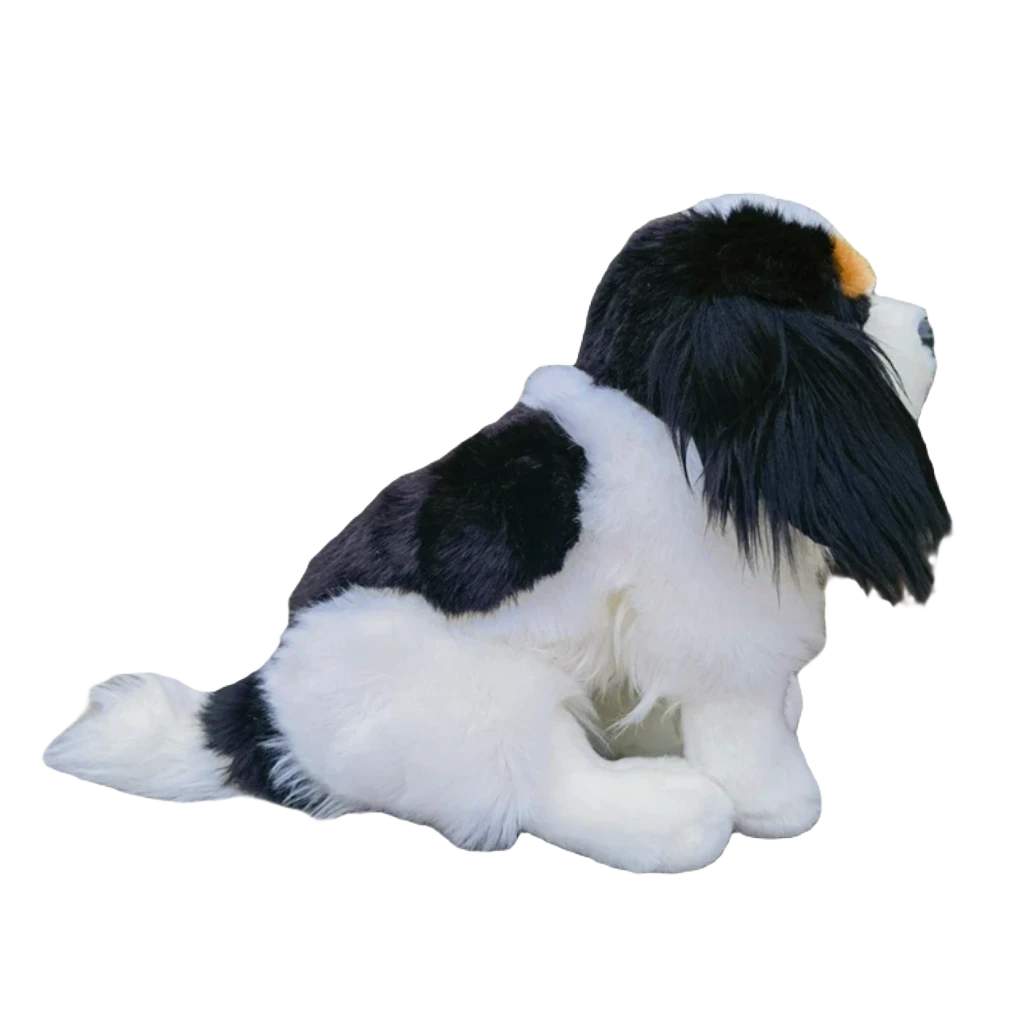 Cavalier king charles teddy