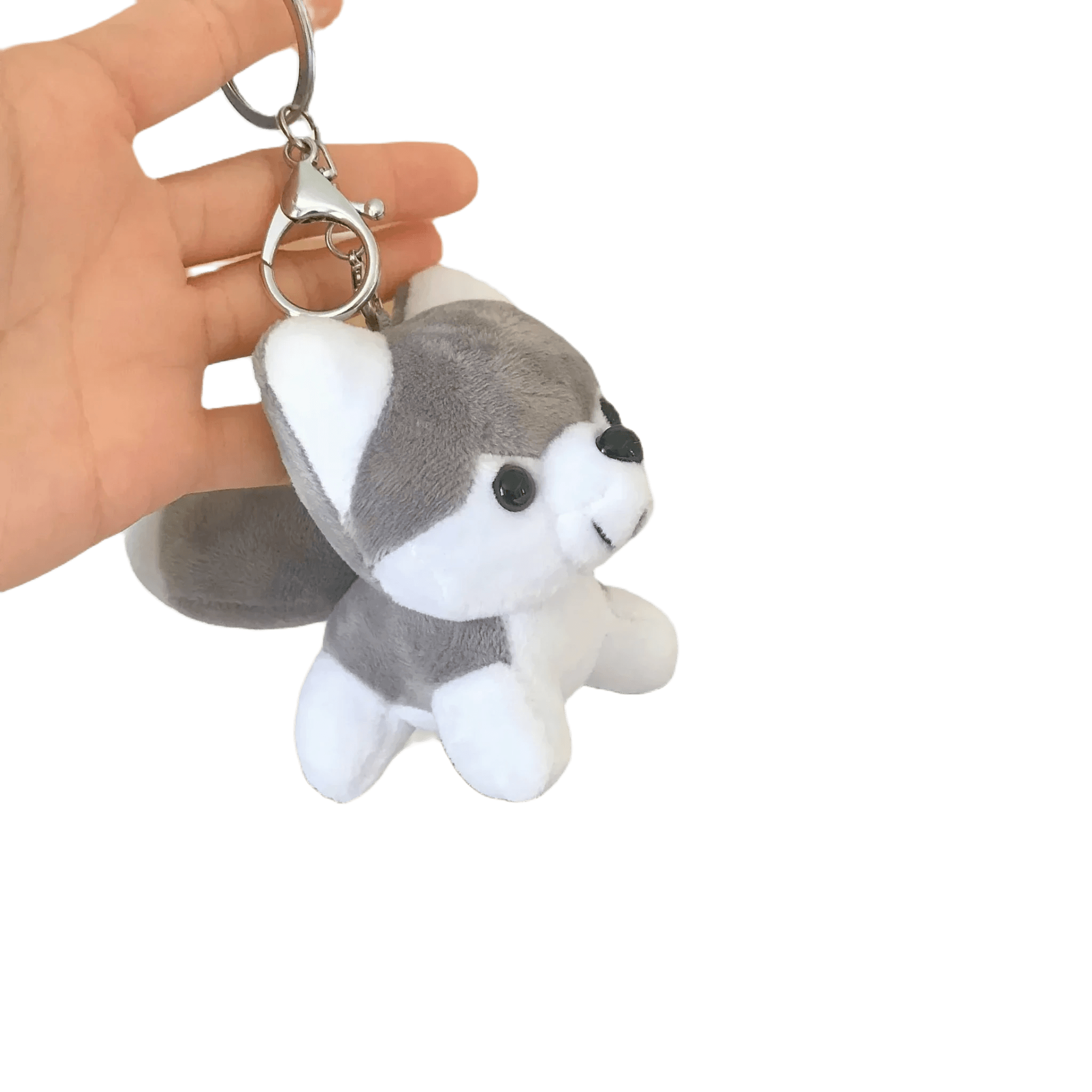 Dog teddys