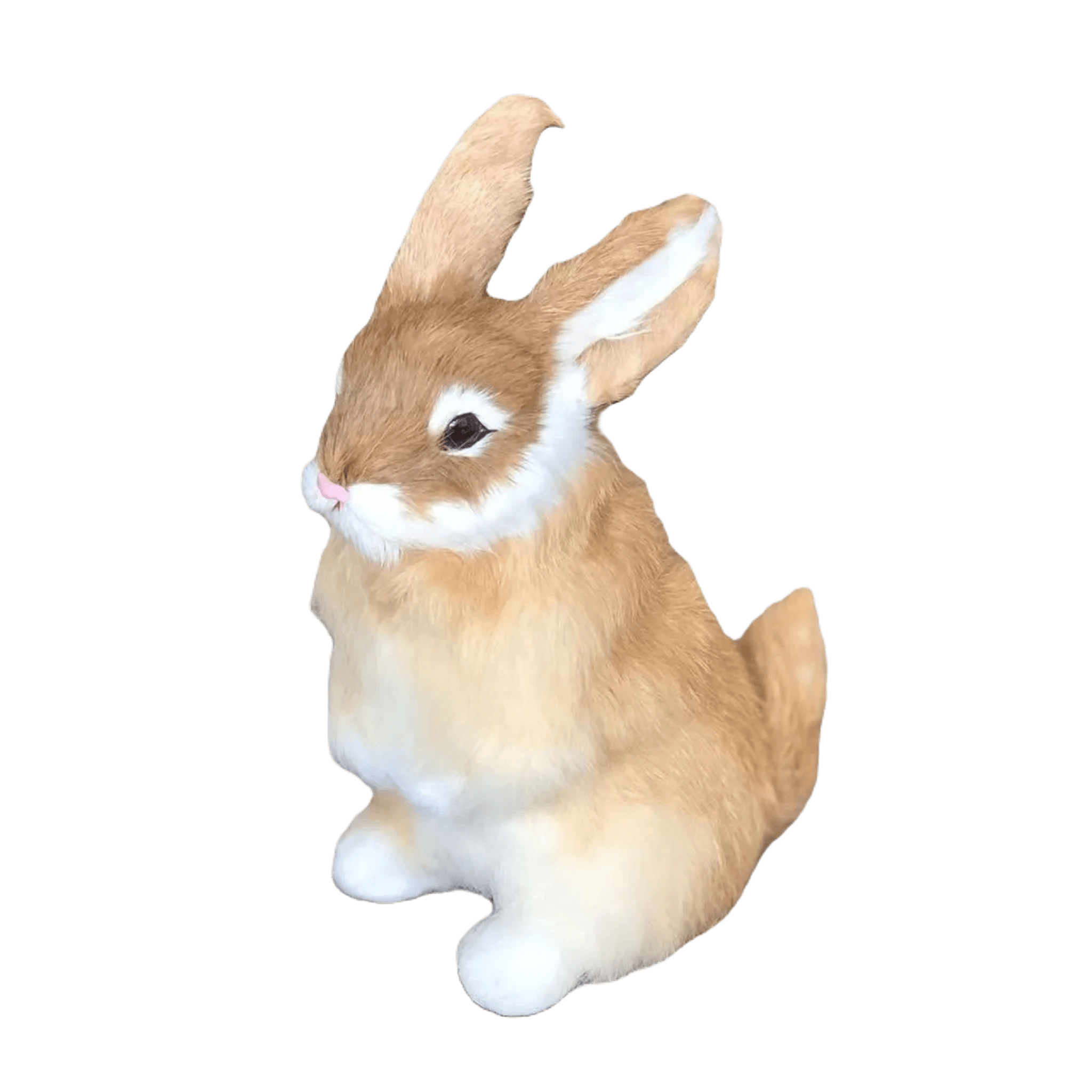 Plush rabbit