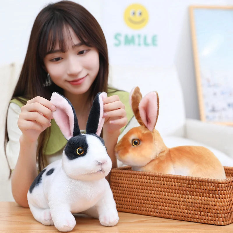 Bunny rabbit plush toy