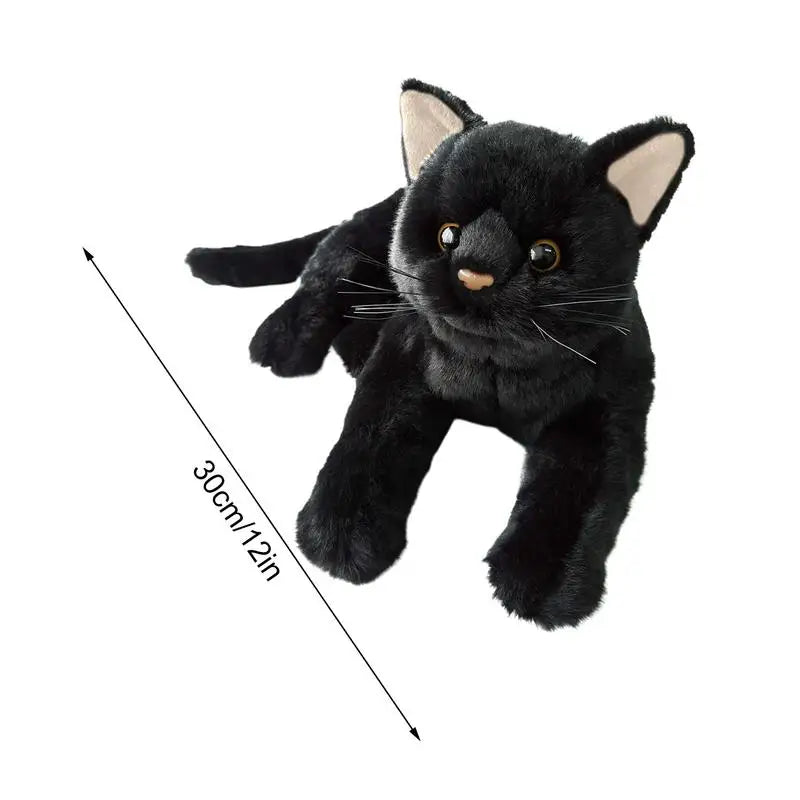 Black cat teddy