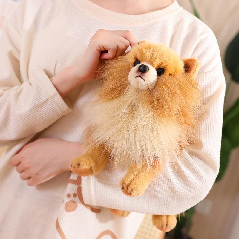 Pomeranian plush toy