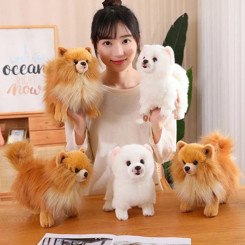 Pomeranian plush toy