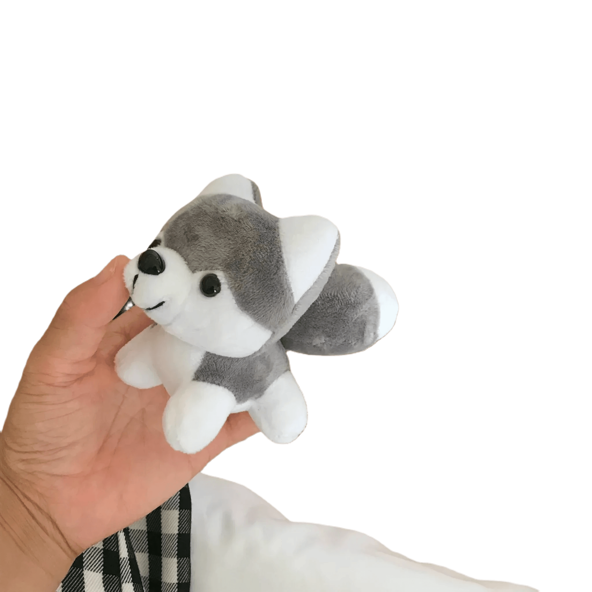 Dog teddys