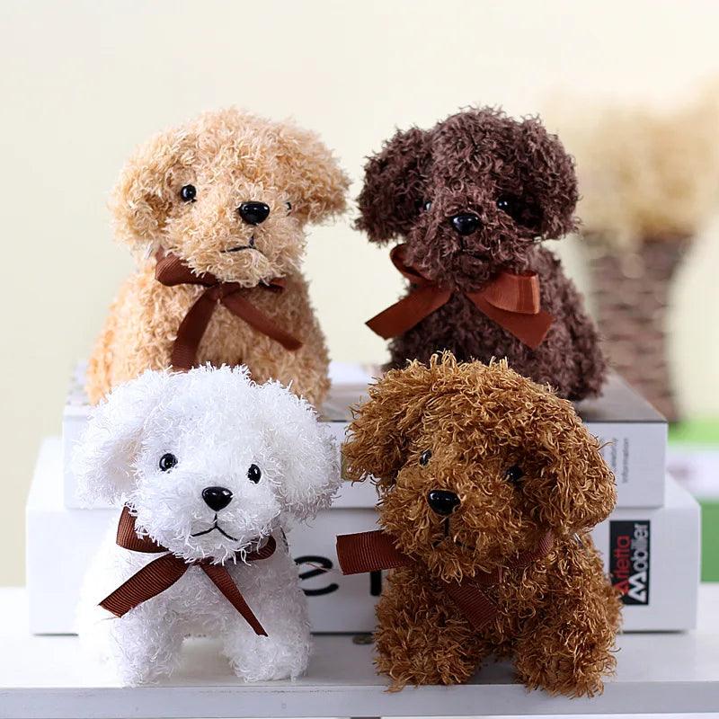 Teddy bear dogs