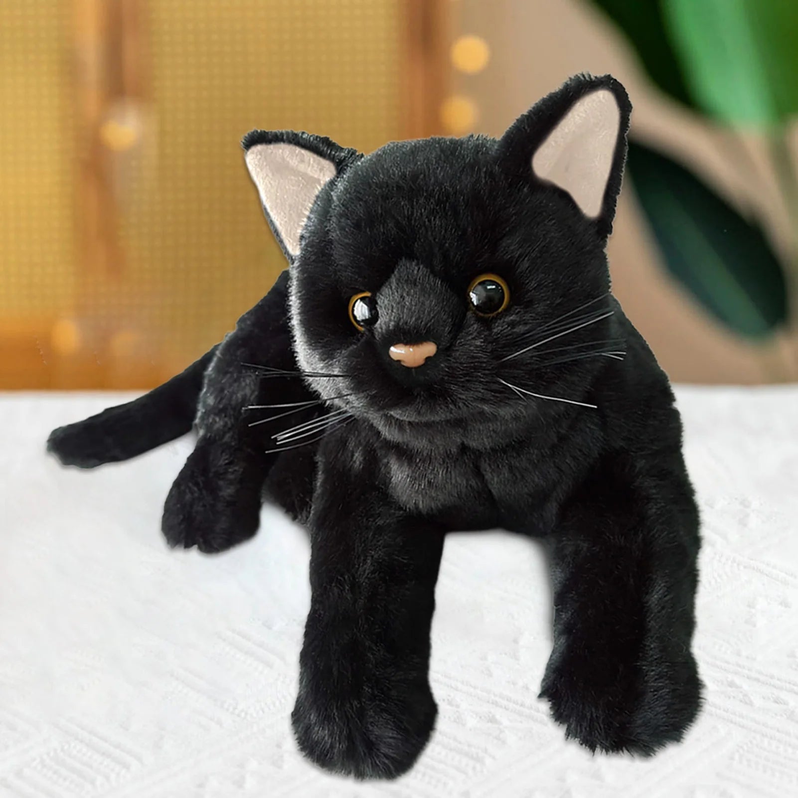 Black cat teddy