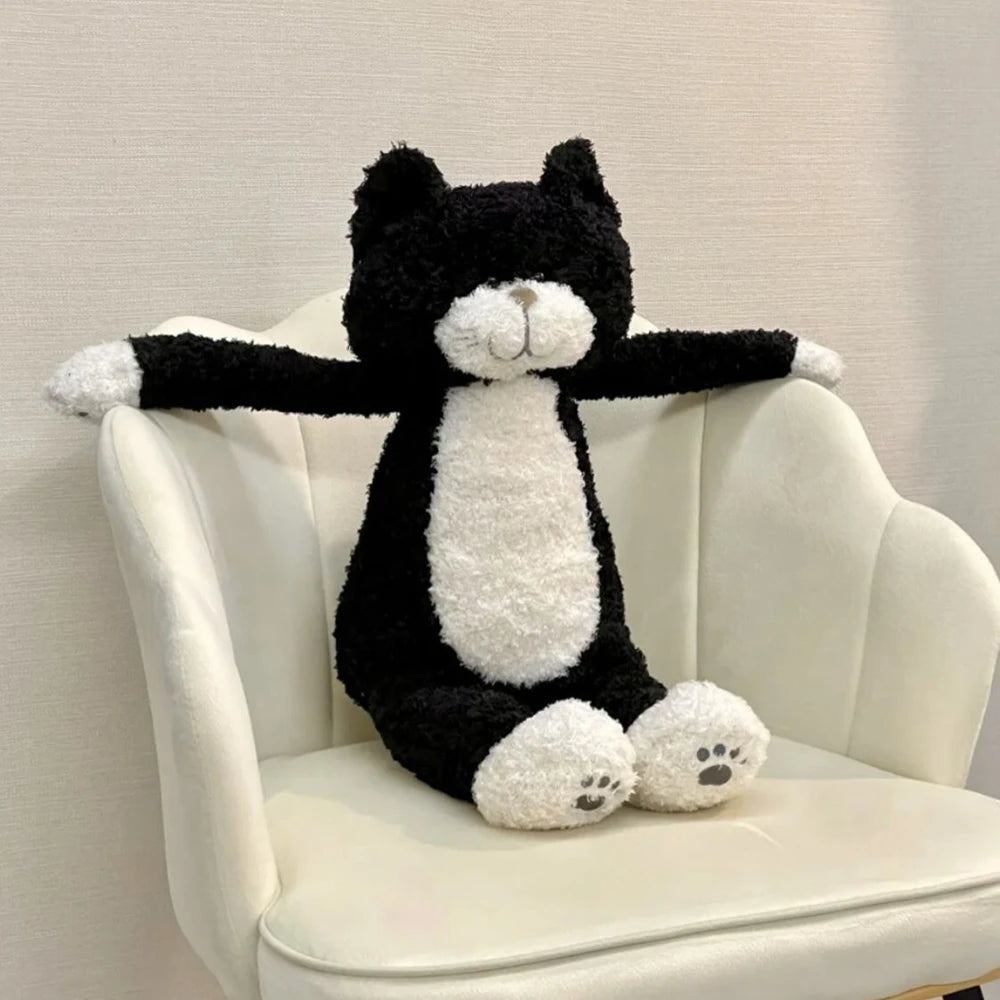 Black and white cat teddy