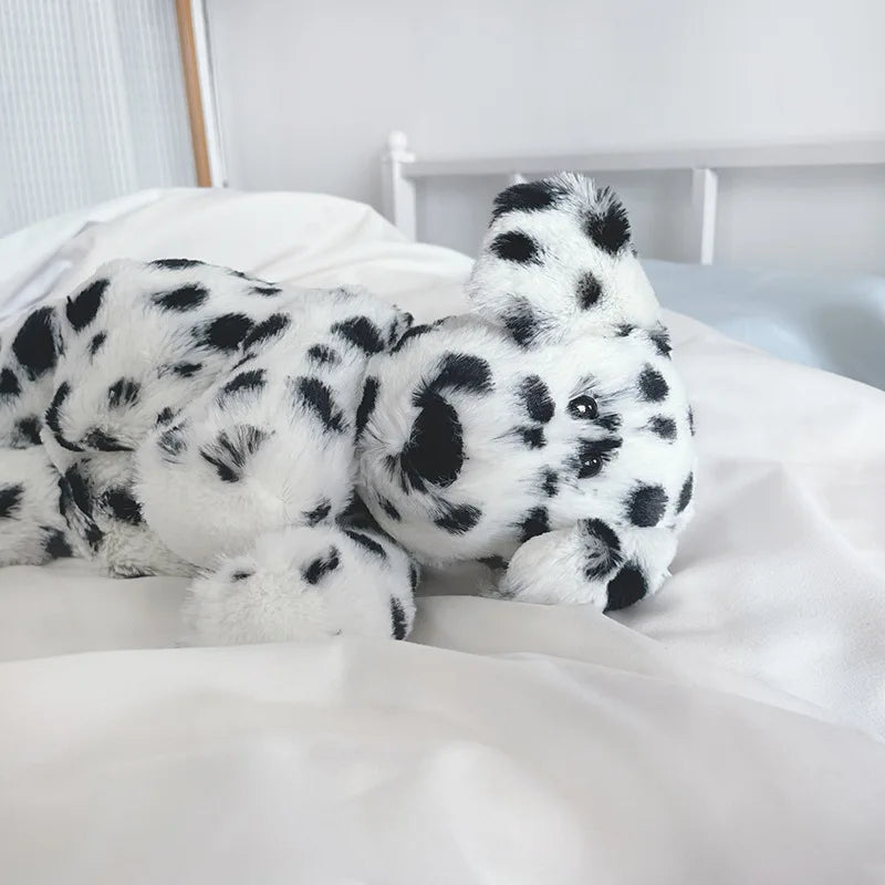 Dalmatian dog teddy