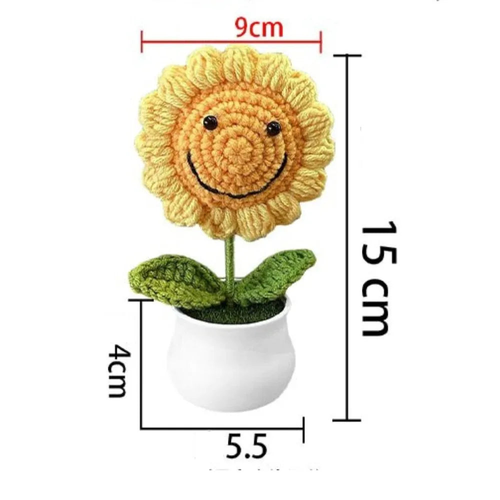 Teddy sunflower