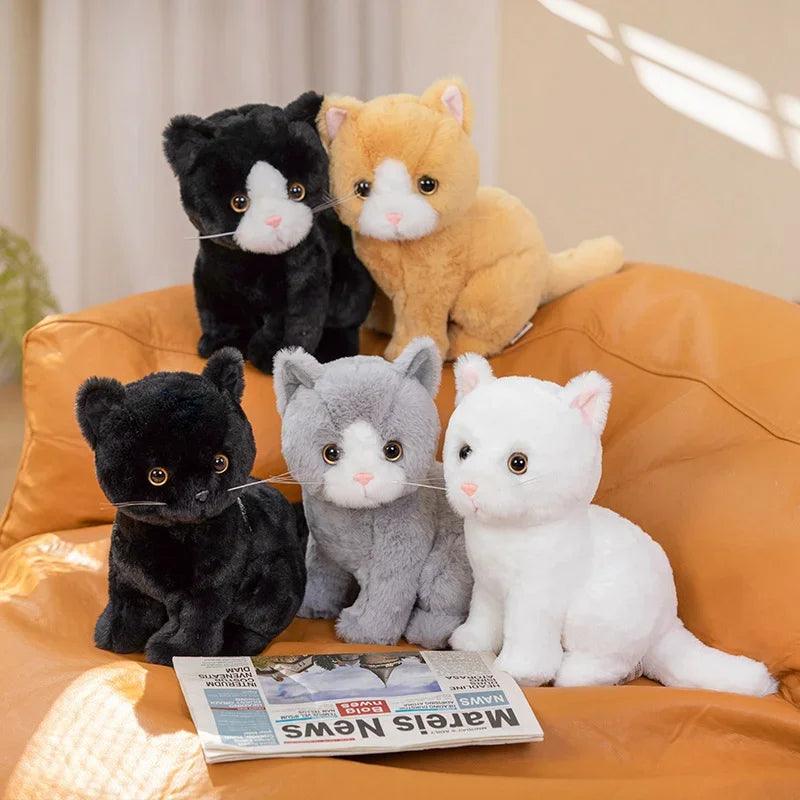 Black cat plush