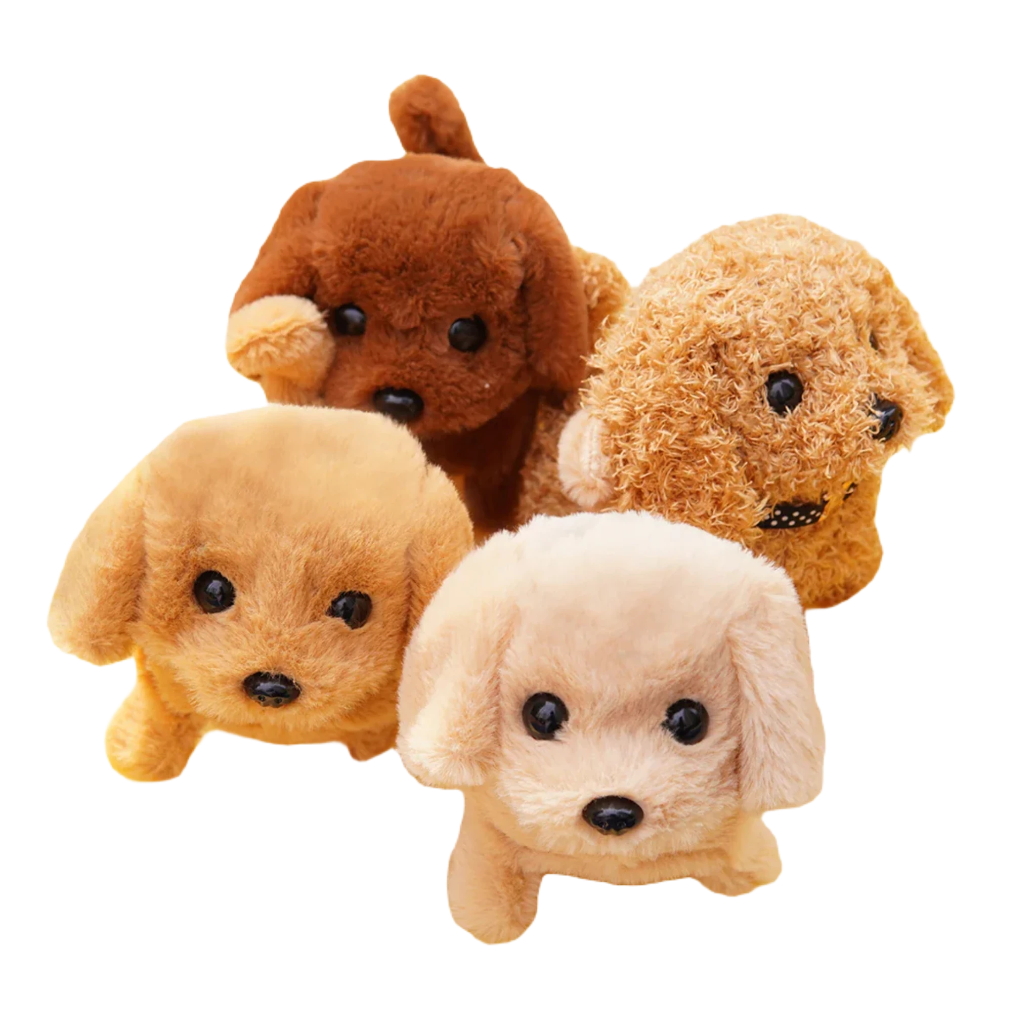 Dog teddies for dogs